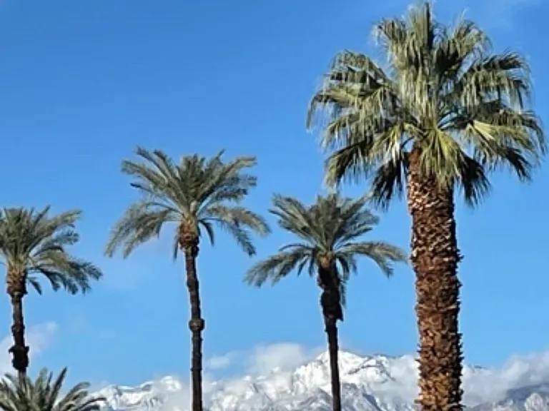 View of San Jacinto from the yard.