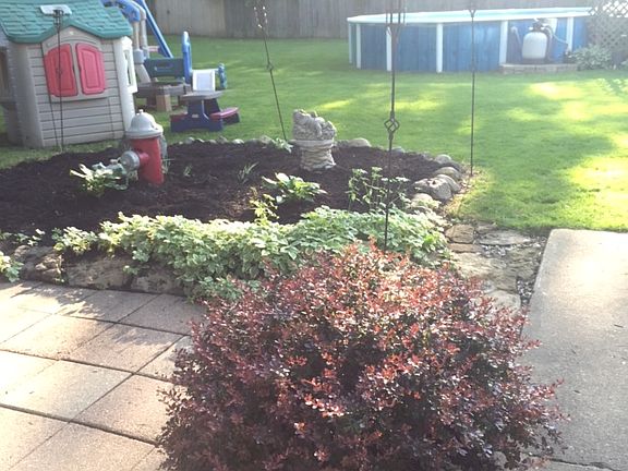 5th image of 2611 Blackthorne Pl
