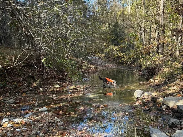 Lindas Way, Mountain View, AR 72560