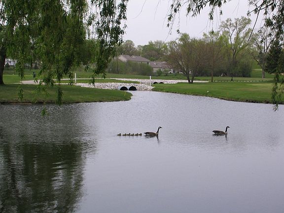 View water & wildlife