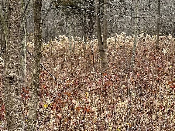4th image of Oberlin Rd