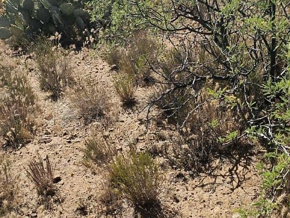 4th image of 20337 E Santa Rita Rd
