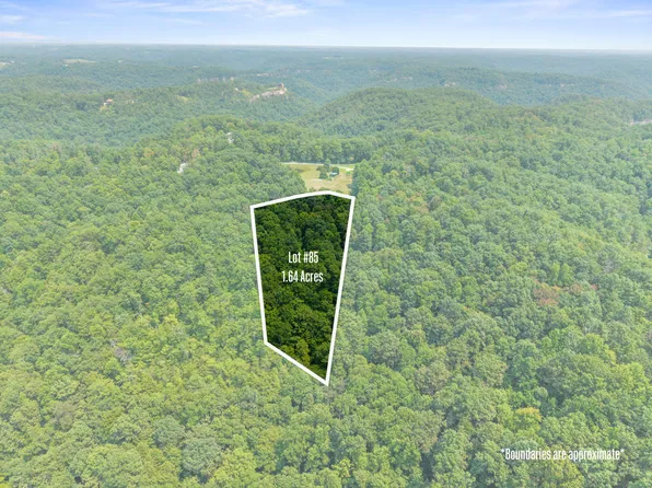LOT 85 31 Pinecrest 85 Dr, Frenchburg, KY 40322