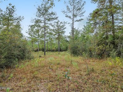 Sizemore Dr Lot 11, Lucedale, MS, 39452