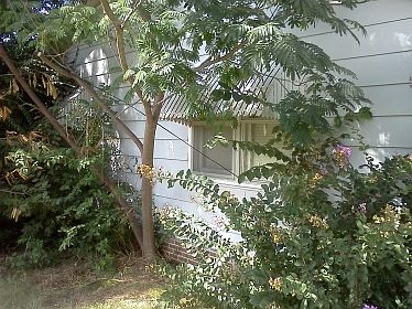 2nd image of 1301 S Ocheese Ave