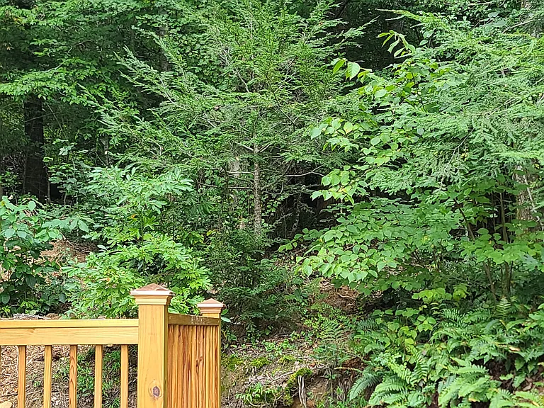 344 Talley Rd #2 — Photo 9