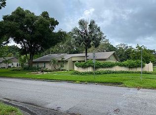 18026 Lindawoods St, Odessa, FL 33556