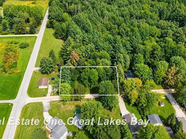 0 Pine Trl, Beaverton, MI 48612