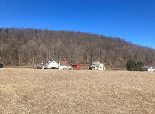 LOT 2 Macdowell Rd #21, Odessa, NY 14869