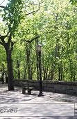 Rented by Bond New York | media 17