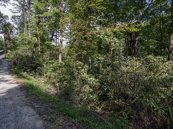 5th image of LOT 8 Snowbird Woods Rd