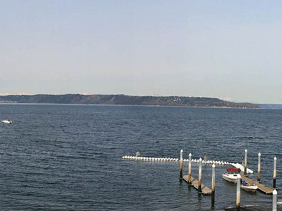 View From North Living Room Window