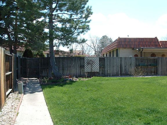 South back yard