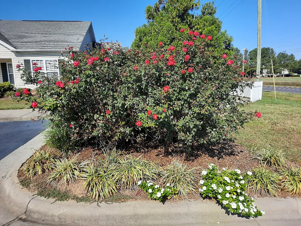 322 Mount Tabor Rd