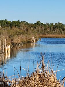 9023 Saint Ann Dr #23, Bay Saint Louis, MS, 39520