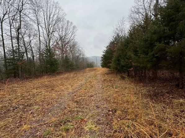 000 County Rd 319, Tecumseh, MO 65760
