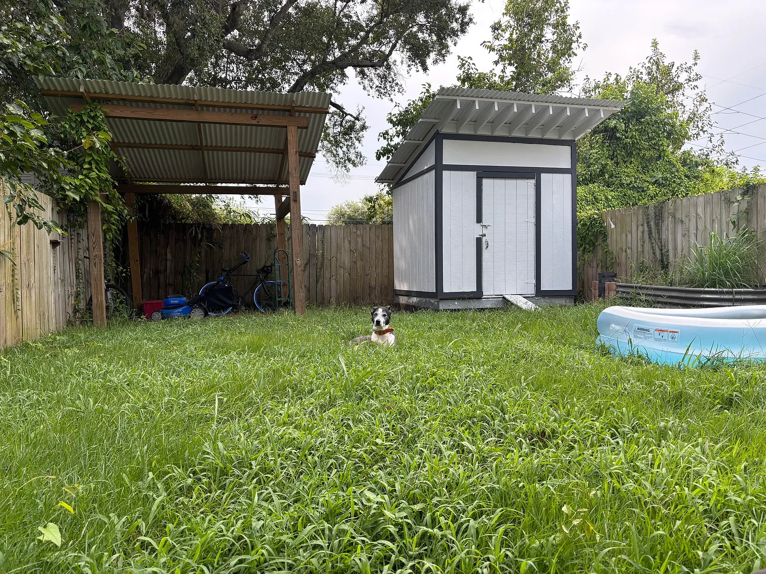 1 bed, $1,000 — Photo 3