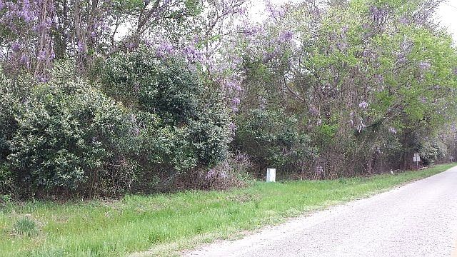 2nd image of Peach Orchard Rd