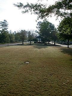 Common Area in Front of Home