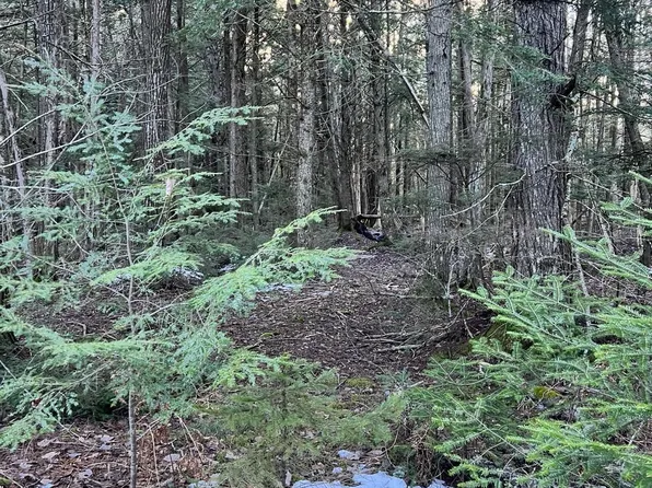 M10 L23 Line Road, Corinna, ME 04928