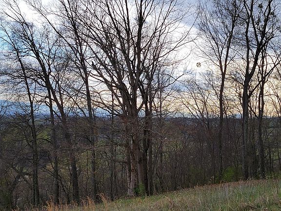 2nd image of 58 Scenic View Dr