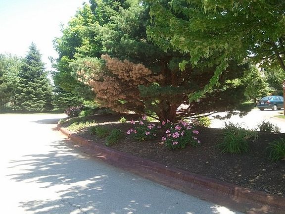 5th image of 4 Brooke Ln