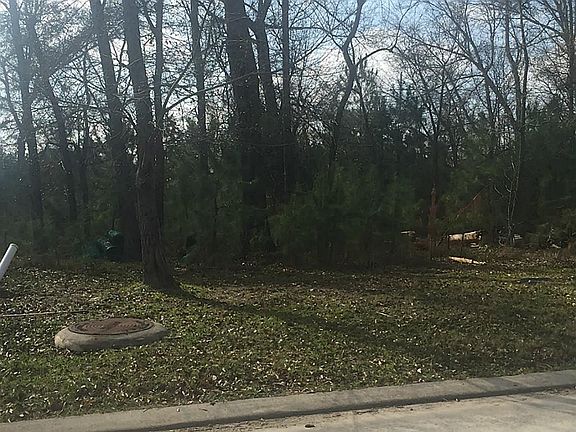 3rd image of 38 S Badger Lodge Cir