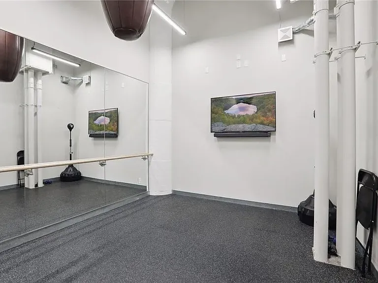 250 Park Ave #313 — Photo 15