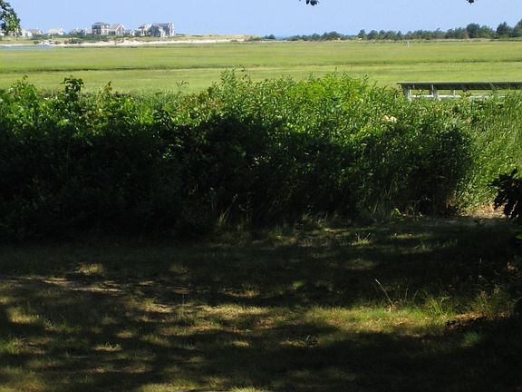 Scorton Creek to Beach
