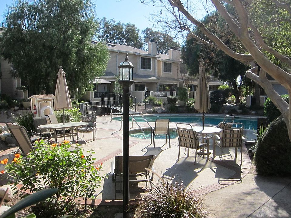 View from the patio