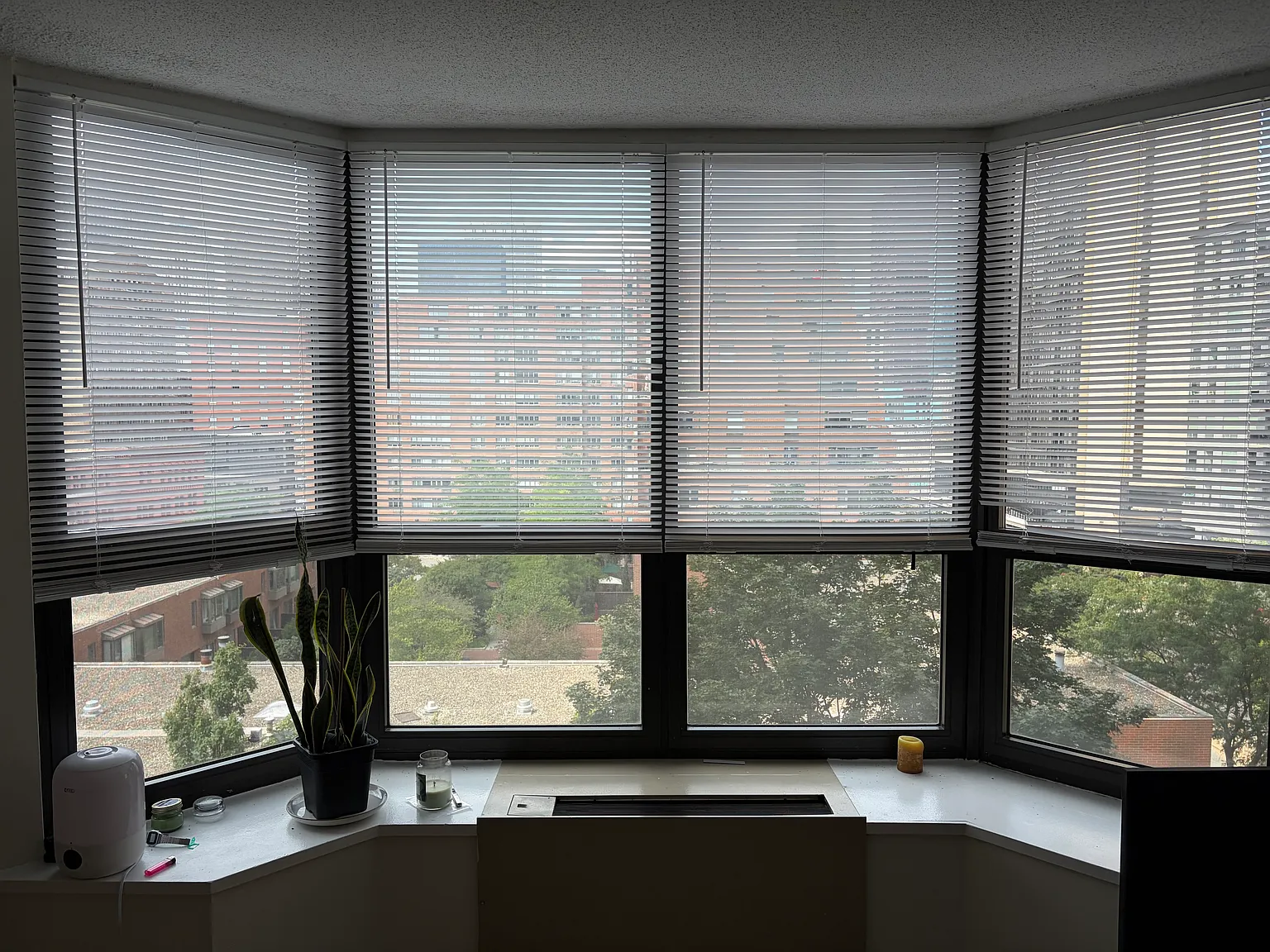Studio, 650 sqft, $1,925 — Photo 2