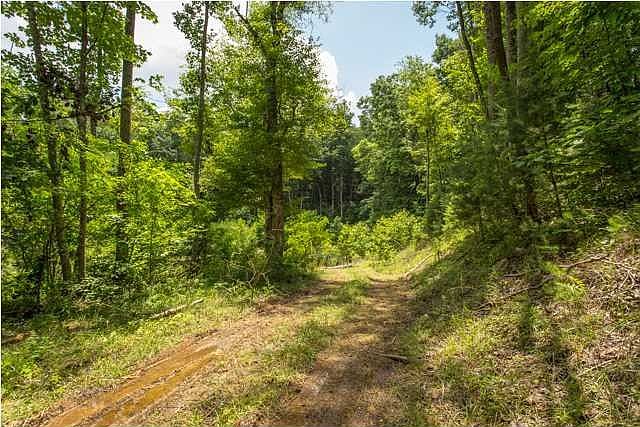 1st image of 0 State Highway 127 #Ww4