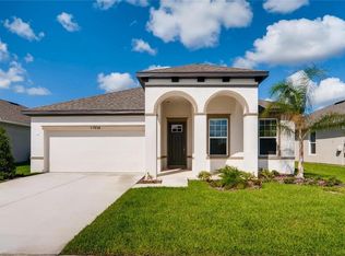 11934 Greenchop Pl, Riverview, FL 33579