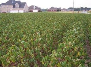 Bob Witt Rd, Medina, TN 38355