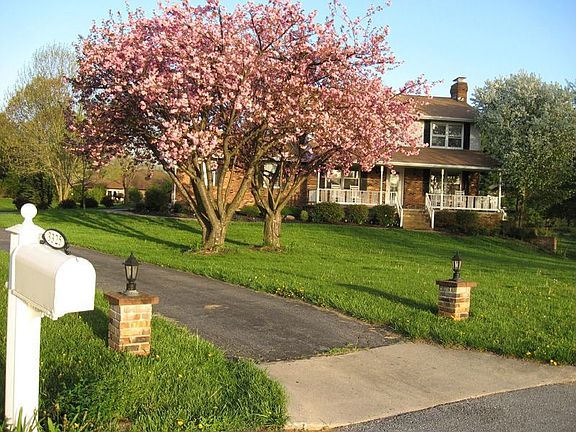 View from front with trees in bloom