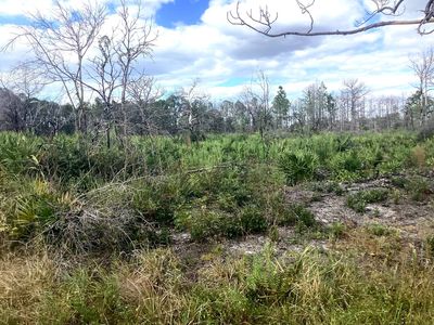 3521 Santona Ave, Lake Placid, FL, 33852