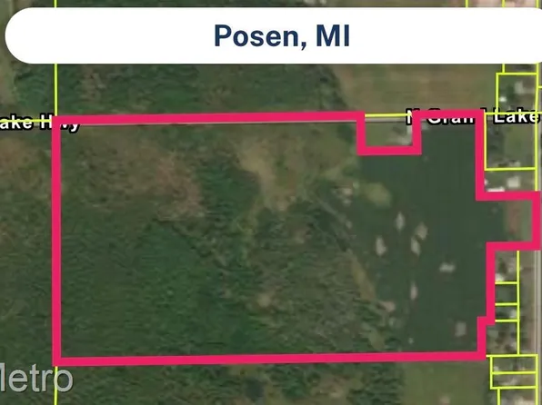 0 N Grand Lake Hwy, Posen, MI 49776