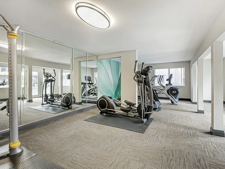 Elevate your routine surrounded by state-of-the-art equipment, including sleek treadmills, ensuring every step leads you closer to your wellness goals.