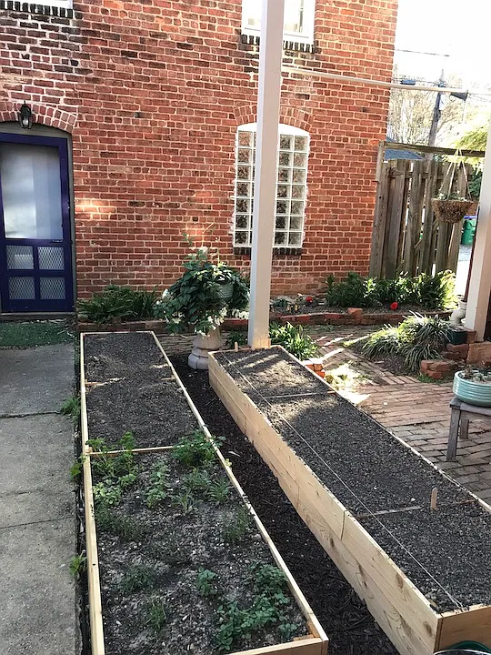 1 bed, 800 sqft, $1,900 — Photo 4