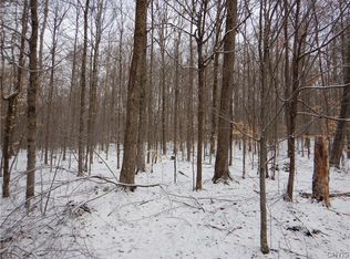 0 Hyer Rd, De Ruyter, NY 13052