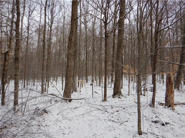 0 Hyer Rd, De Ruyter, NY 13052