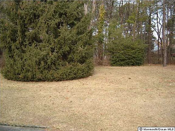 3rd image of 11 Lafayette Drive #B