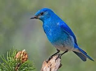 LT 0 Sweet Rd, Darien, WI 53114