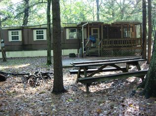 8228 N Aqua Dr, Irons, MI 49644