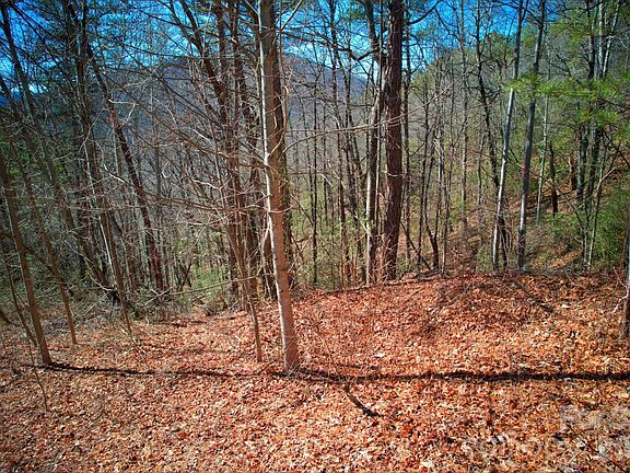 5th image of 0 Whisnant Rd