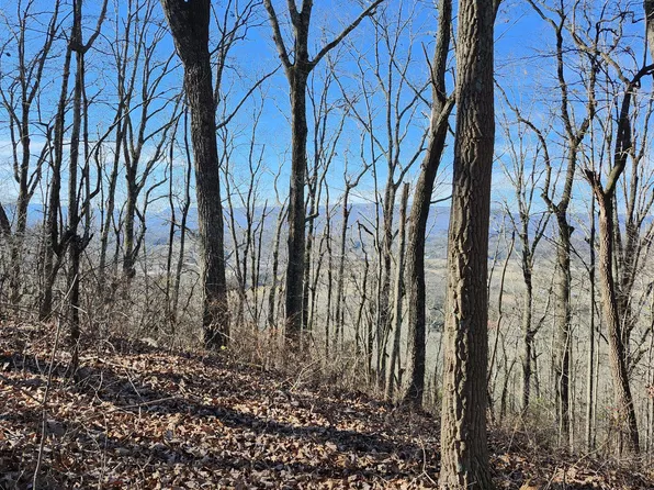 496 Hancock Rd, Jasper, TN 37347