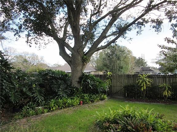 Lots of backyard shade