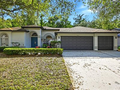 4858 Augusta Ave, Oldsmar, FL, 34677