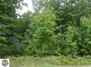 0 Dyer Rd SW, South Boardman, MI 49680