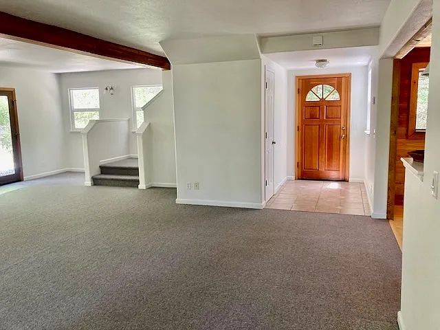 17346 Excelsior Ditch Camp Rd — Photo 6